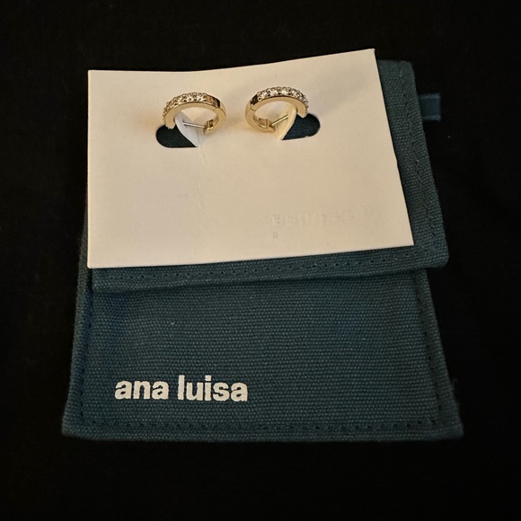 Ana Luisa Medium Suzanne Huggies Earrings - Picture 6 of 10